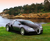 AUT 02 RK0076 05
2006 Bugatti Veyron Black Coupe 3/4 Front View On Grass By Water