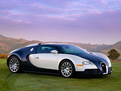 AUT 02 RK0101 01
2007 Bugatti Veyron White And Black 3/4 Front View On Grass By Trees Mountain Sky