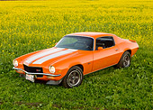 CAM 01 RK0169 01
1970 Chevrolet Camaro Z-28 Hugger Orange And White Stripe 3/4 Front View In Field Of Yellow Wildflowers