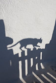 CAT 02 KH0180 01
Shadow Of Greek Island Cat Walking On Gate