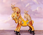 CAT 03 RK0961 01
Two Orange Kittens Sitting On Antique Horse Cloudy Purple Sky