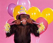 CHI 03 RK0020 07
Humorous Shot Of Eddie Wearing Party Hat Blowing Party Horns Balloons And Pink Seamless Background