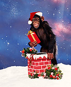 CHI 03 RK0032 02
Humorous Shot Of Eddie Coming Out Of Red Chimney With Present In Hand On Snow Starry Night
