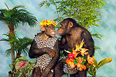CHI 03 RK0177 01
Jungle Love