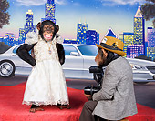 CHI 03 RK0314 01
Celebrity Chimpanzee Standing On Red Carpet In White Dress Being Photographed By Press Chimp