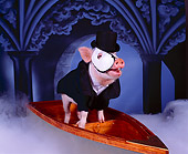 PIG 01 RK0207 12
Phant-ham Of The Opera