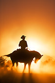 WRG 01 KH0001 01
Silhouette Of Wrangler On Horse Standing In Dusty Sunset