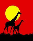 AFW 09 JZ0005 01
Graphic Of Giraffes Walking On Savanna Against Sun Kenya
