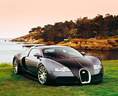 AUT 02 RK0077 05
2006 Bugatti Veyron Black And Gray Coupe 3/4 Front View On Grass By Water Filtered