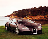 AUT 02 RK0077 03
2006 Bugatti Veyron Black And Gray Coupe 3/4 Front View On Grass By Water Filtered