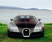 AUT 02 RK0080 01
2006 Bugatti Veyron Black Coupe Head On Shot On Grass By Water