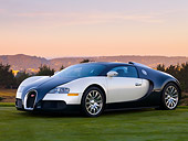 AUT 02 RK0098 01
2007 Bugatti Veyron White And Black 3/4 Front View On Grass By Trees Mountain Sky