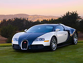 AUT 02 RK0099 01
2007 Bugatti Veyron White And Black 3/4 Front View On Grass By Trees Mountain Sky