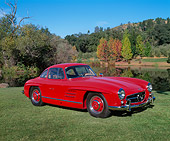 AUT 05 RK0220 03
1955 Mercedes-Benz 300SL Gullwing Coupe Red 3/4 Side View On Grass By Water And Trees