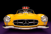AUT 05 RK0490 01
1957 Mercedes-Benz 190SL Convertible Yellow Low Head On Shot Purple Floor Studio