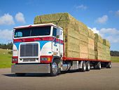 AUT 07 RK0098 01
1995 Freightliner C.O.E. Hay Wagon White And Red 3/4 Front View On Pavement