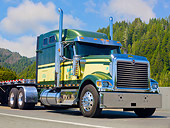 AUT 07 RK0132 01
2008 International 9900i Green And Yellow 3/4 Front View On Pavement By Evergreen Trees