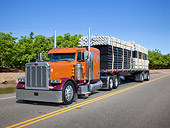 AUT 07 RK0342 01
2006 Peterbilt 379 Burnt Orange 3/4 Front View On Road By Trees