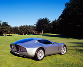 AUT 09 RK0741 02
Ford Shelby GR-1 Silver Gray Stripes 3/4 Rear View On Grass By Trees
