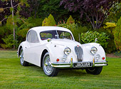 AUT 12 RK0365 01
1955 Jaguar XK140 FHC SE White 3/4 Front View On Grass By Trees