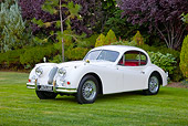 AUT 12 RK0366 01
1955 Jaguar XK140 FHC SE White 3/4 Front View On Grass By Trees