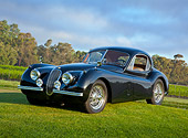 AUT 12 RK0369 01
1953 Jaguar XK120 Black 3/4 Front View On Grass By Trees