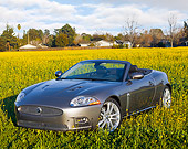 AUT 12 RK0294 01
2009 Jaguar XKR Convertible Gray 3/4 Front View In Field Of Yellow Wildflowers