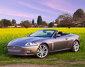 AUT 12 RK0295 01
2009 Jaguar XKR Convertible Gray 3/4 Front View In Field Of Yellow Wildflowers
