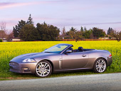 AUT 12 RK0296 01
2009 Jaguar XKR Convertible Gray 3/4 Front View In Field Of Yellow Wildflowers