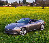 AUT 12 RK0297 01
2009 Jaguar XKR Convertible Gray 3/4 Front View In Field Of Yellow Wildflowers