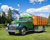 AUT 14 RK1076 01
1946 Chevy 4400 1 1/2 Ton Dump Truck Green 3/4 Front View On Grass By Trees And Mountain