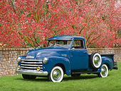 AUT 14 RK1147 01
1950 Chevrolet 3100 Pick Up Truck Blue 3/4 Side View On Grass By Pink Blossoming Trees