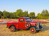 AUT 14 RK1574 01
1936 Chevrolet Pickup Truck Red 3/4 Front View On Dry Grass By Flowers And Trees