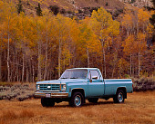AUT 14 RK0300 01
1978 Chevrolet C20 1/2 Ton Truck Seafoam Green 3/4 Side View By Fall Trees