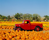 AUT 14 RK0316 03
1935 Ford 1/2 Ton Pickup Truck Red 3/4 Front View At Pumpkin Patch
