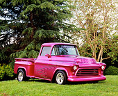 AUT 14 RK1059 01
1955 Chevy Side Step Pick Up Truck Violet With Flames Front 3/4 View On Grass Trees Background