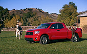 AUT 14 RK1264 01
2007 Toyota Tundra Double Cab SR5 Red 3/4 Side View On Grass By Wrangler On Horse