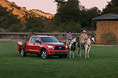 AUT 14 RK1271 01
2007 Toyota Tundra Double Cab SR5 Red 3/4 Front View On Grass By Wranglers On Horses