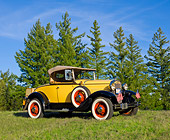 AUT 19 RK0894 01
1930 Ford Model A Yellow 3/4 Front View On Grass By Trees