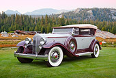 AUT 19 RK0966 01
1932 Packard Twin Six Gray And Brown 3/4 Front View On Grass By Pine Trees And Mountains