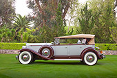 AUT 19 RK0967 01
1932 Packard Twin Six Gray And Brown Profile View On Grass By Trees And Shrubs