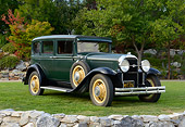 AUT 19 RK1048 01
1931 Buick 8-67 Green 3/4 Front View On Grass By Trees