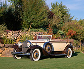 AUT 19 RK0445 01
1931 Packard 840 Convertible Sedan Brown And Tan 3/4 Side View On Grass By Trees