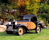 AUT 19 RK0564 01
1931 American Austin 142 Roadster Black And Tan 3/4 Front View On Grass By Trees