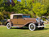 AUT 19 RK0722 01
1931 Franklin 153 Dietrich Speedster Brown 3/4 Front View On Grass By Trees