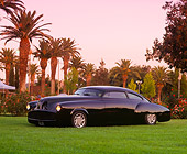 AUT 20 RK0120 05
1949 Black Buick Roadmaster 3/4 Front View On Grass By Palm Trees