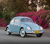 AUT 21 BK0032 01
1957 Volkswagen Beetle Light Blue 3/4 Front View On Pavement By Pink Flowers