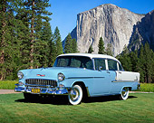 AUT 21 RK1558 01
1955 Chevrolet Bel Air Light Blue And White 3/4 Front View On Grass By Trees