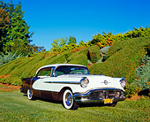 AUT 21 RK1921 01
1956 Oldsmobile Holiday 98 Gold And White 3/4 Front View On Grass By Bushes