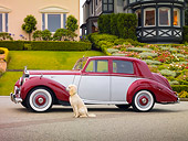 AUT 21 RK2513 01
1954 Rolls-Royce Silver Dawn Silver And Maroon Profile View On Pavement By House And Dog
